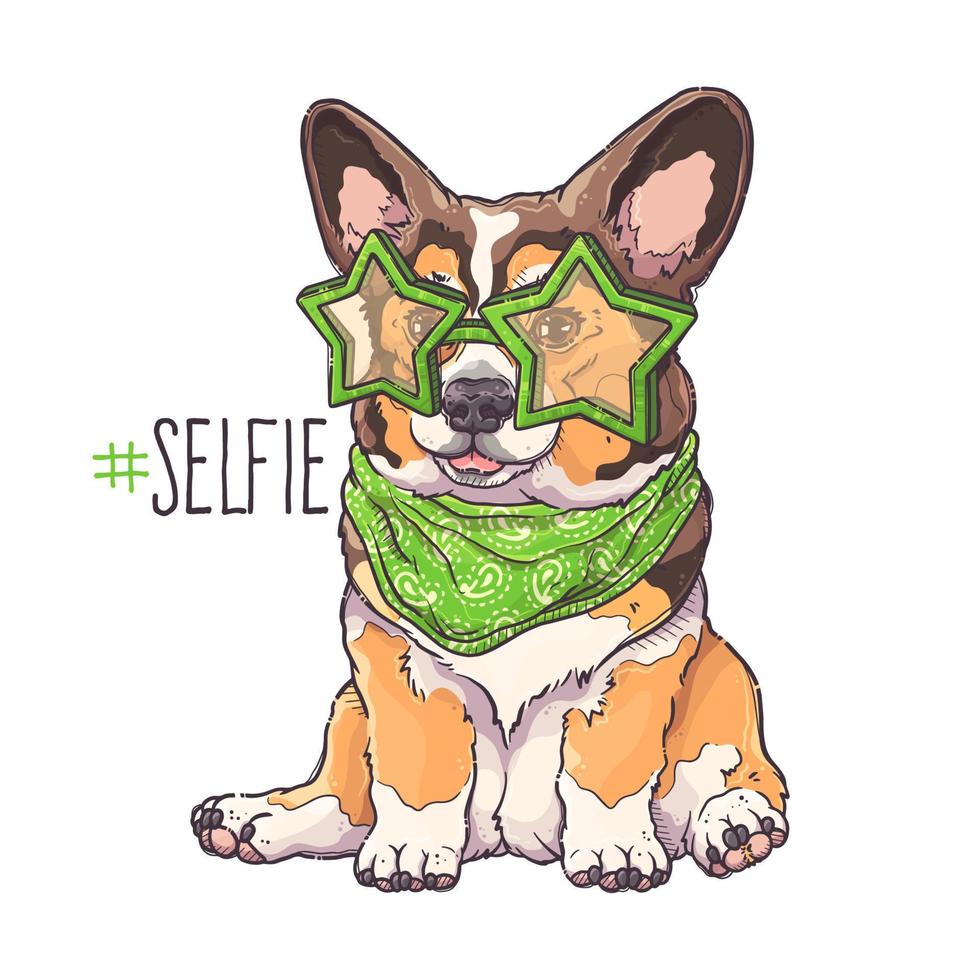 Hand drawn corgi puppy portrait Vector