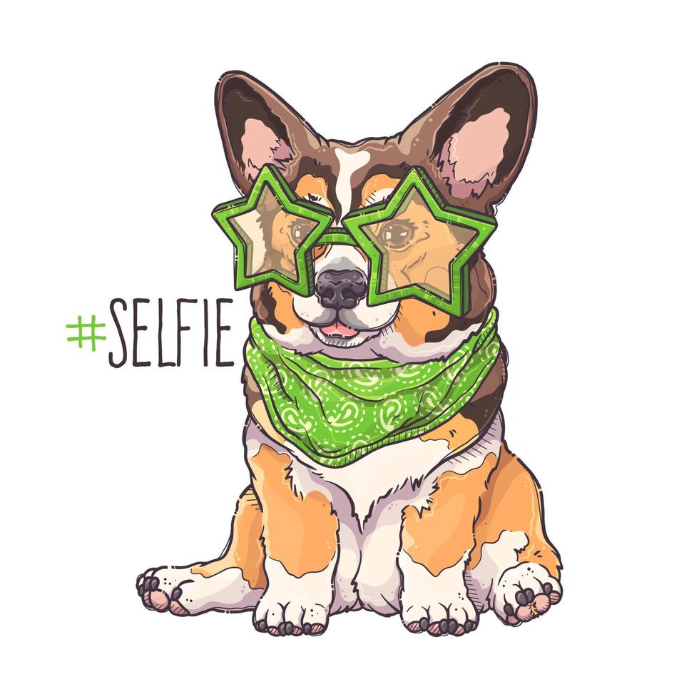 vector de retrato de cachorro de corgi dibujado a mano