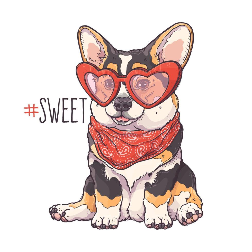 Hand drawn corgi puppy portrait Vector