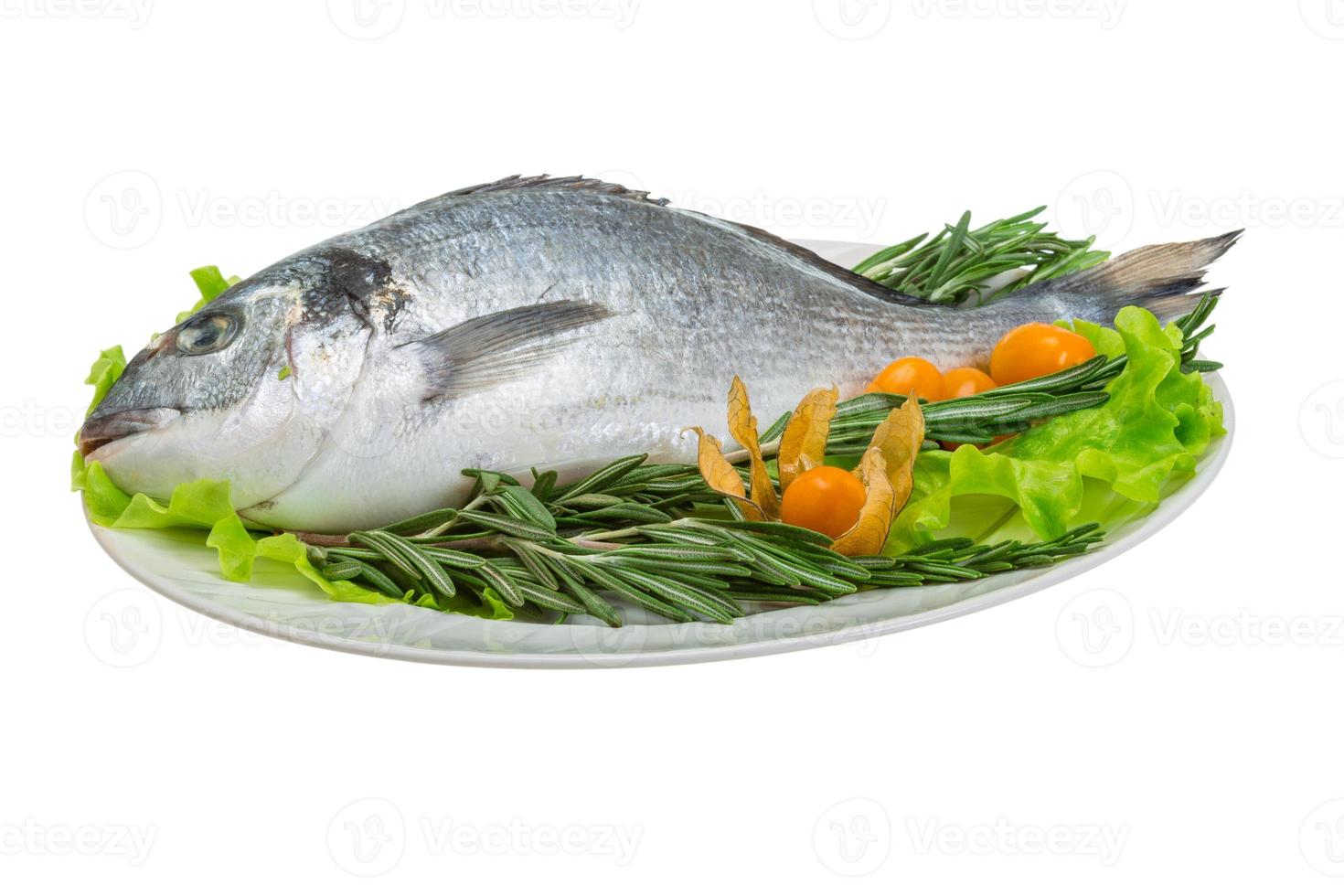 Raw dorada in dish photo