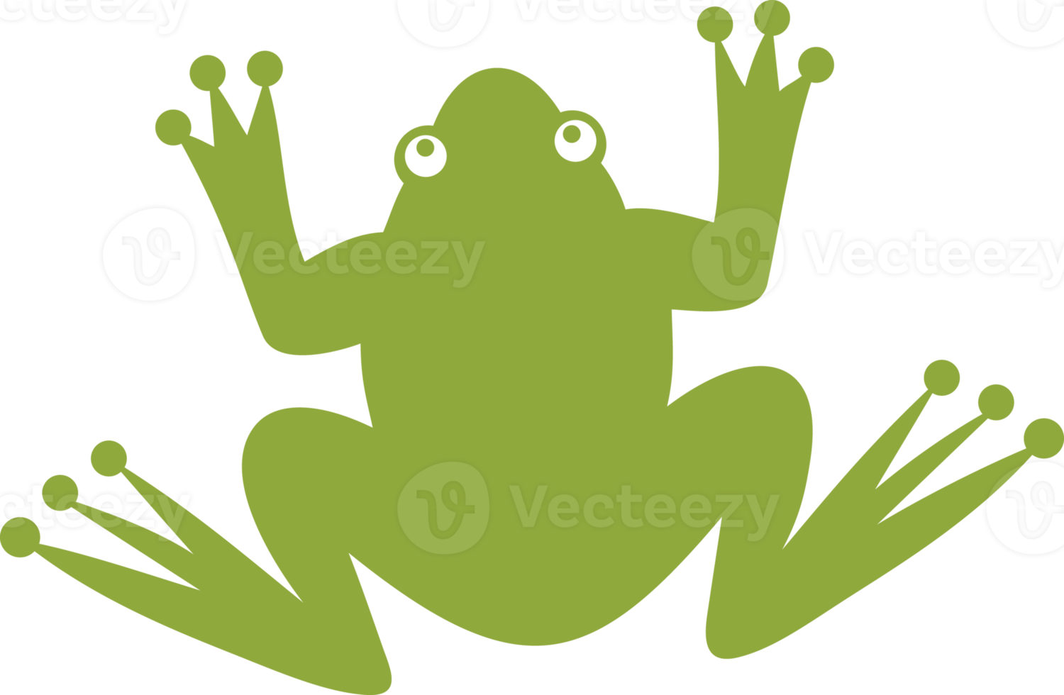 grenouille animal couleur png illustration