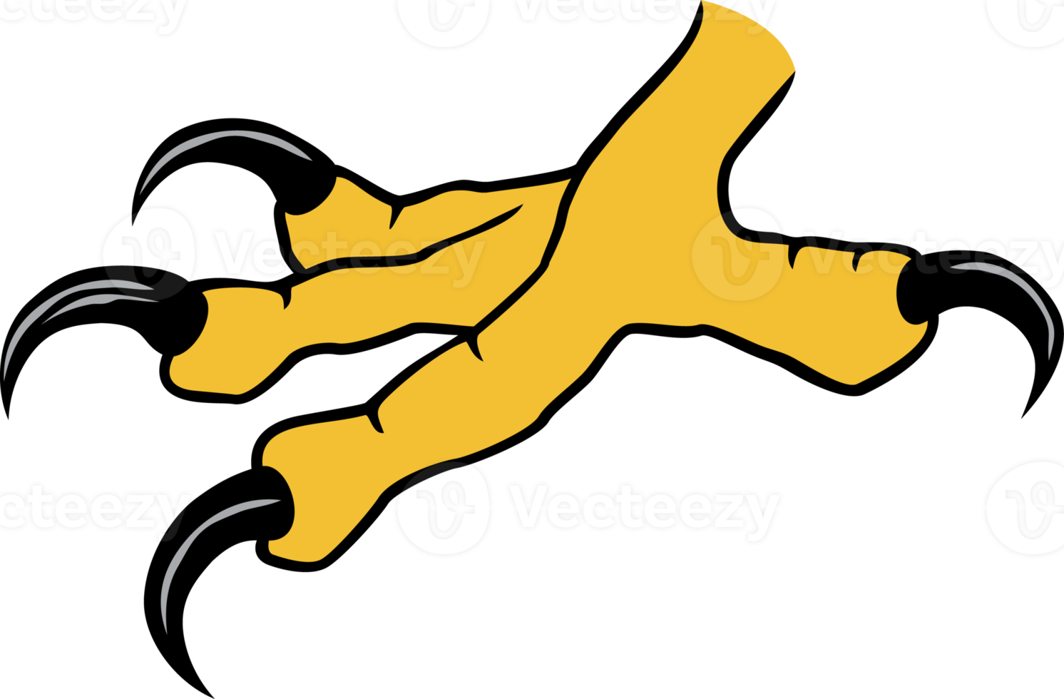 Eagle claw color png illustration