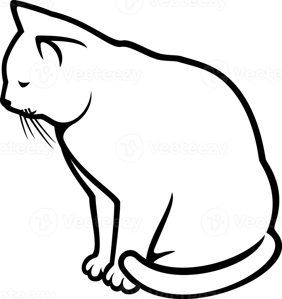 Png illustration of a white cat