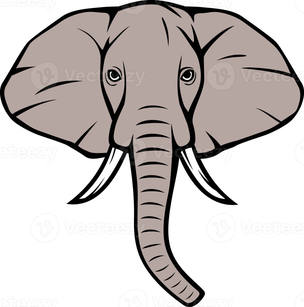 tête d'éléphant illustration png