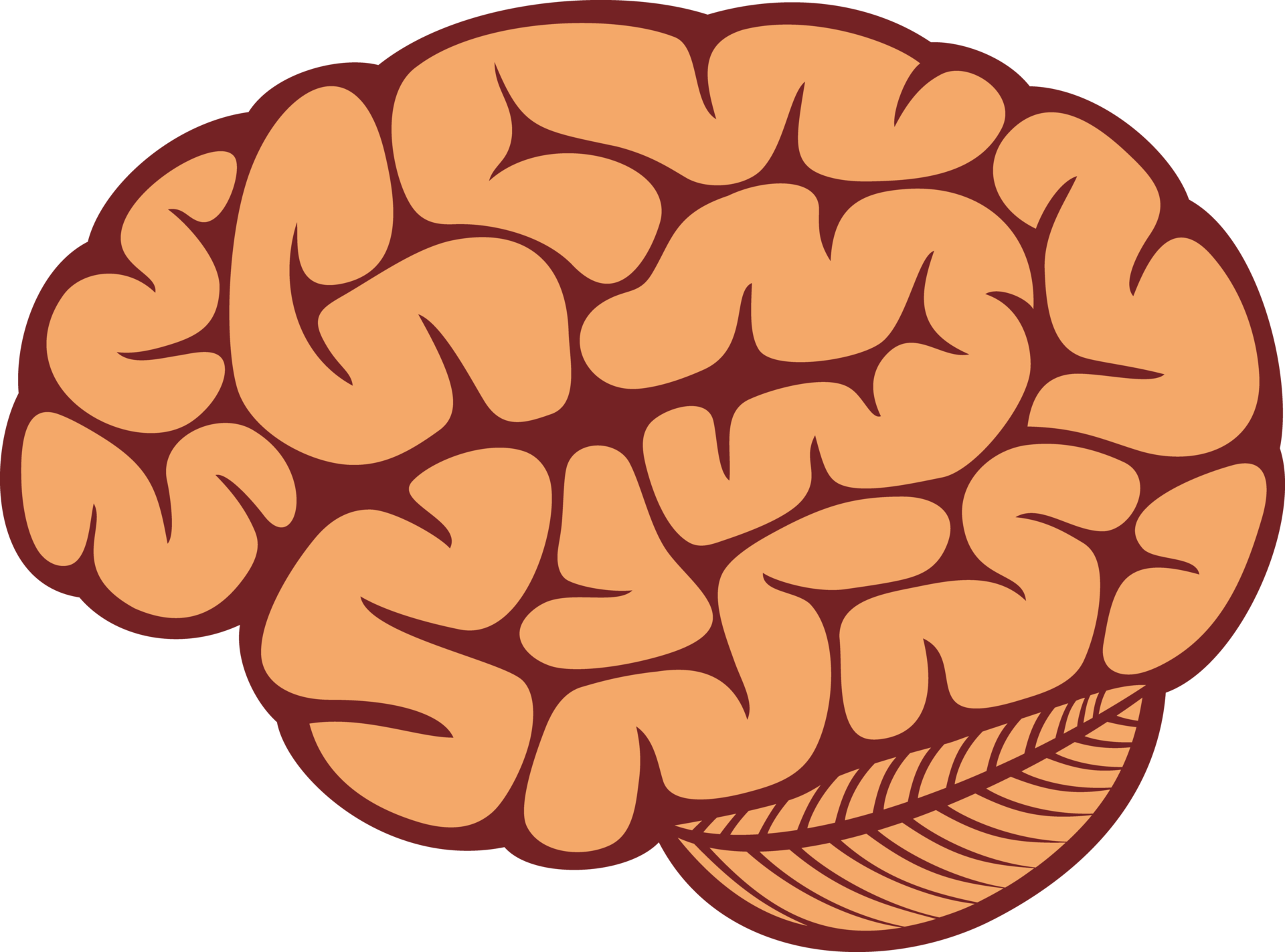 Realistic Brain Illustration Transparent Png Svg Vect - vrogue.co