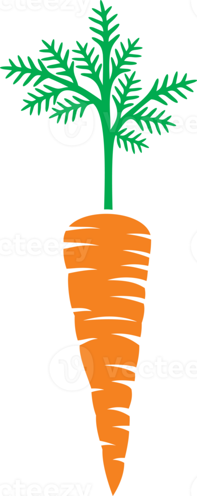 morot grönsak png illustration