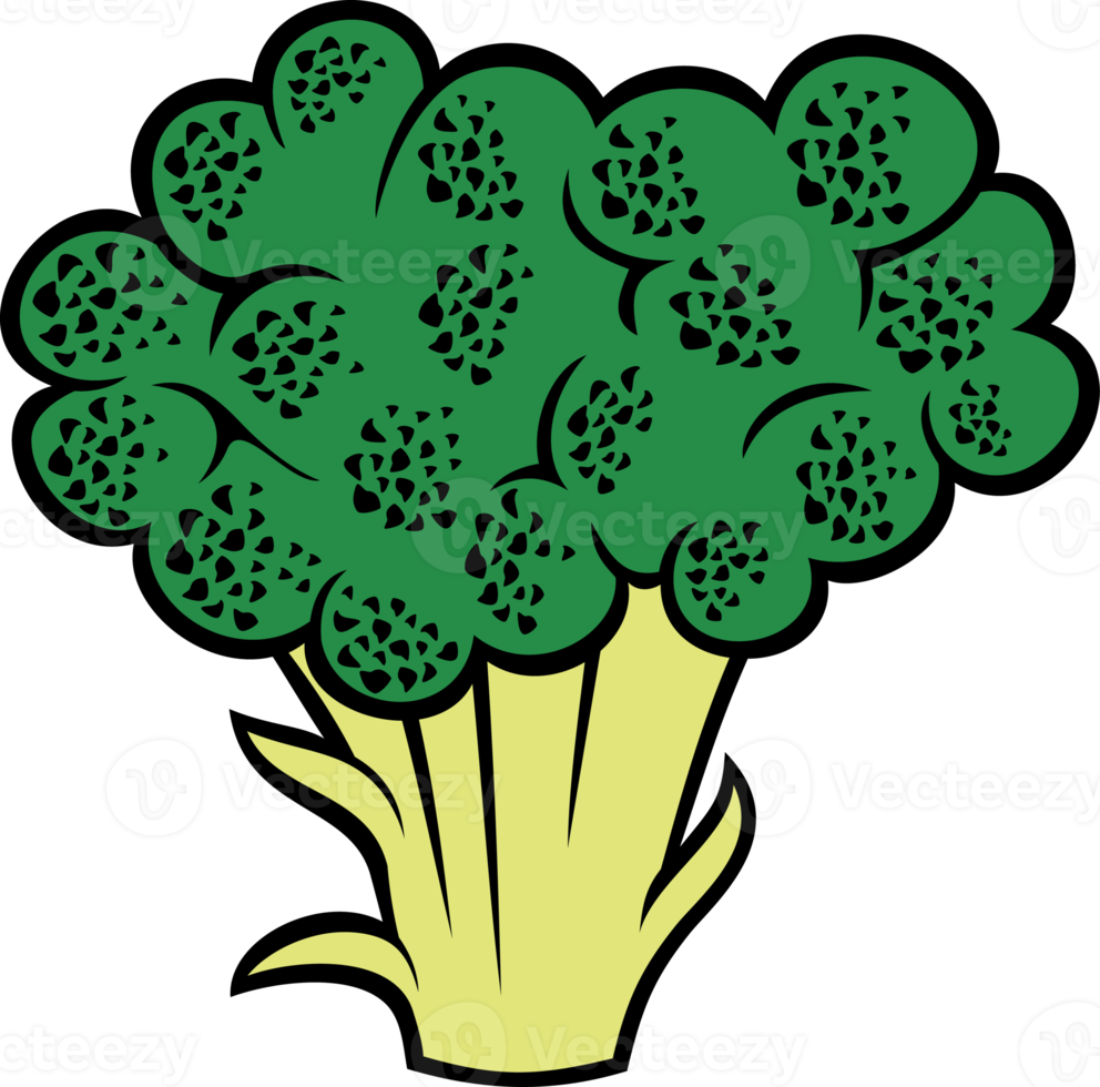 broccoli grönsak png illustration