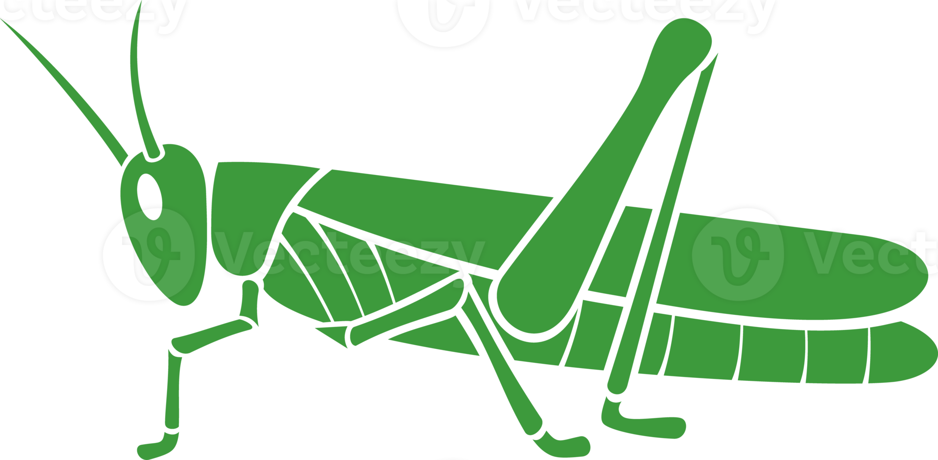 Green grasshopper png illustration