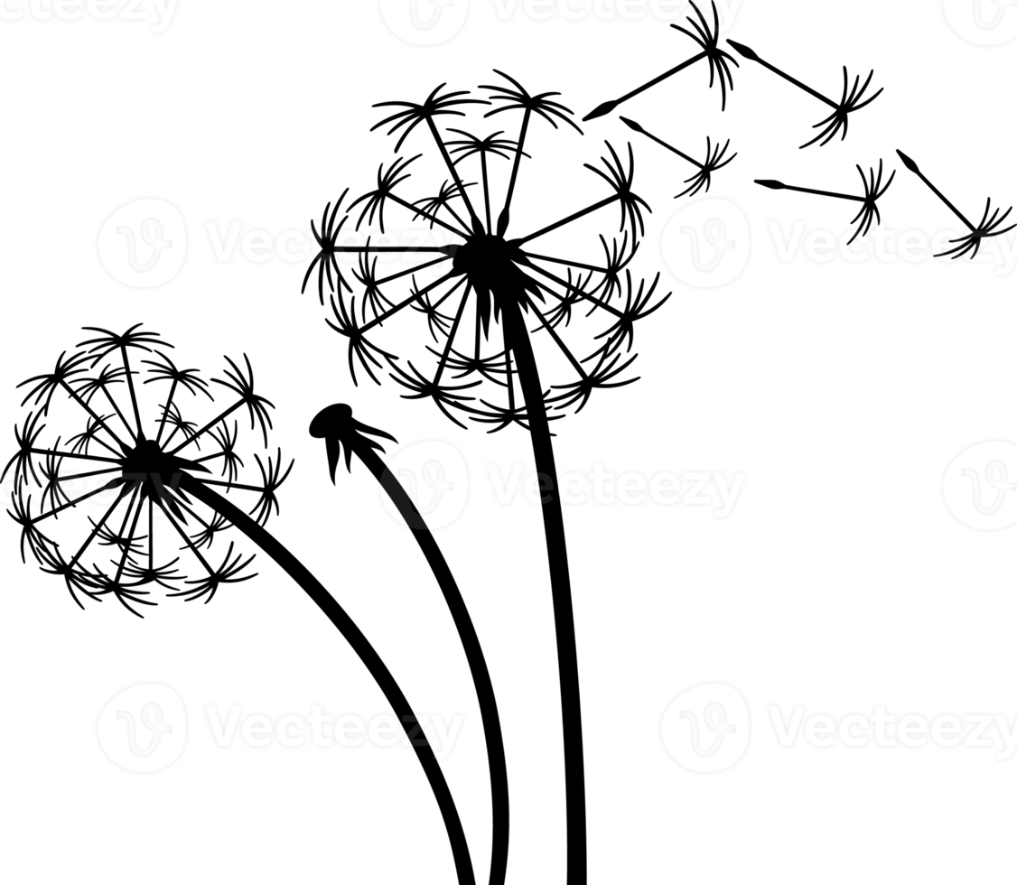 Dandelion in the wind png illustration 8513652 PNG