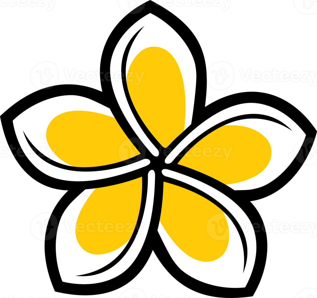 Frangipani-Blumenfarbe Png-Illustration png