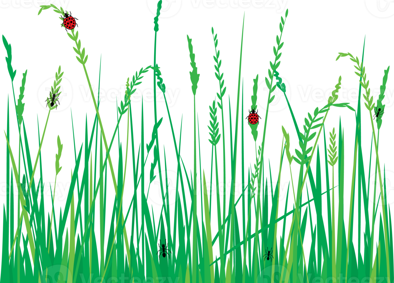 gras met lieveheersbeestjes en mieren png illustratie