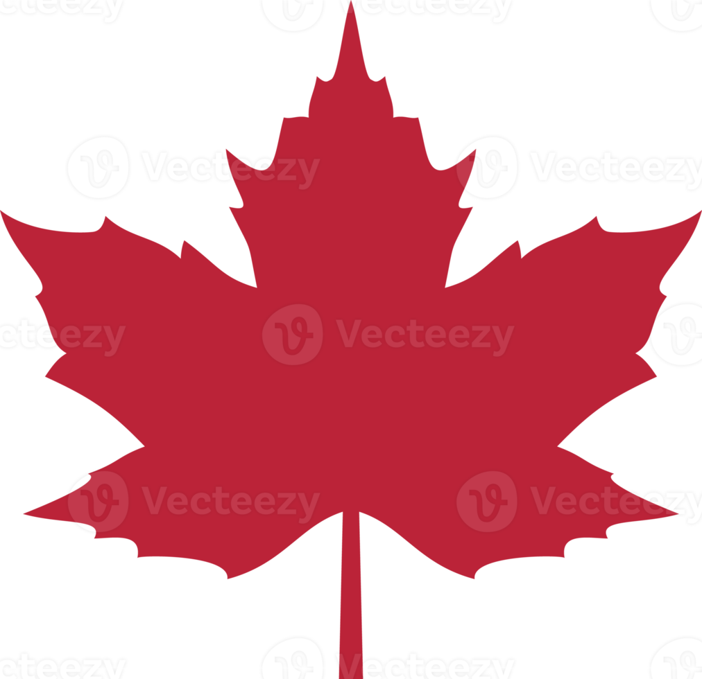 Red maple leaf png illustration