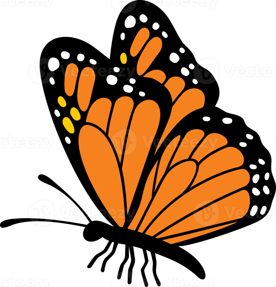 Butterfly insect png illustration