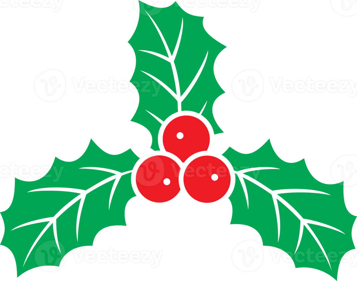 ilustração png de azevinho de natal