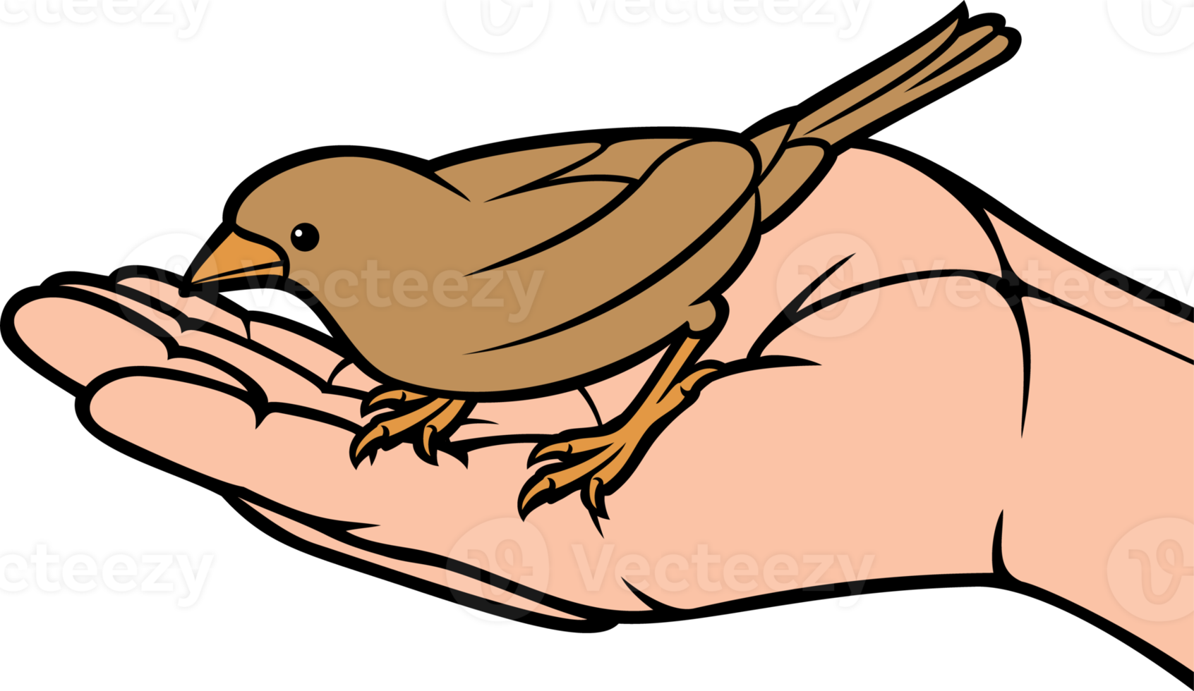 Bird in the hand color ong illustration 8513846 PNG