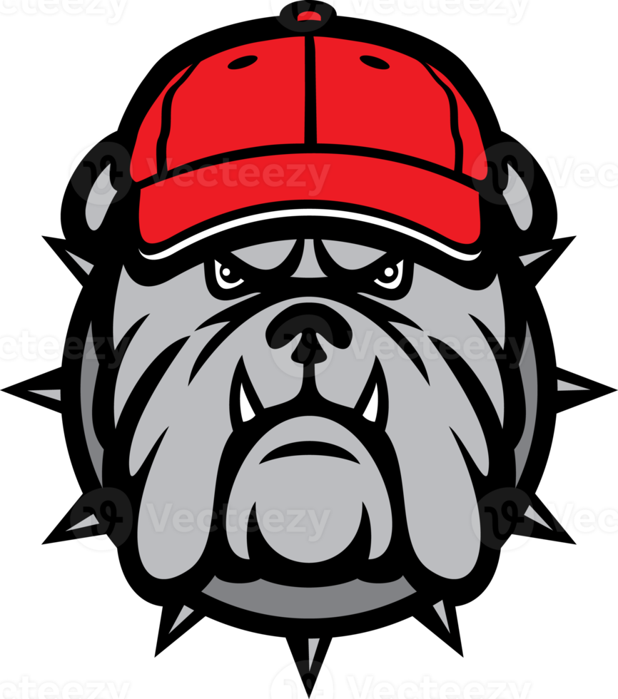 Angry bulldog head and baseball cap png