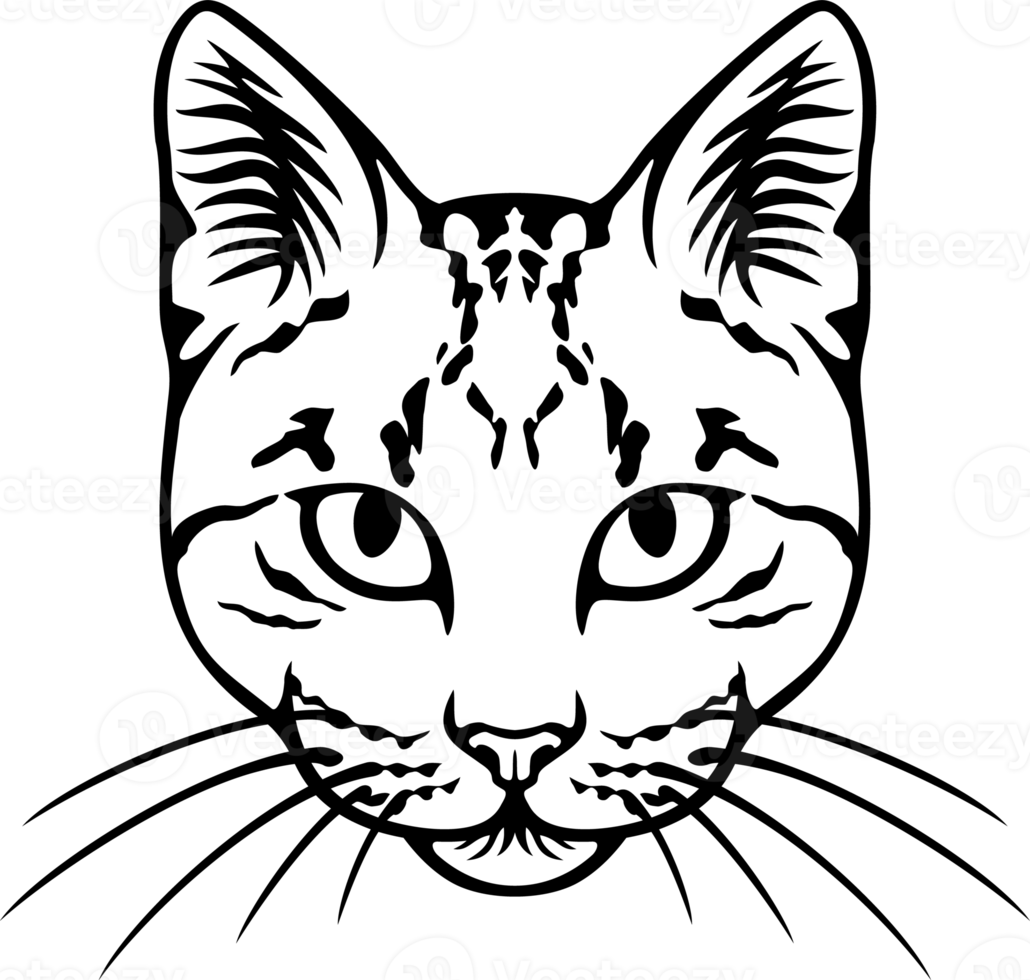 Cat face black and white. Png illustration.