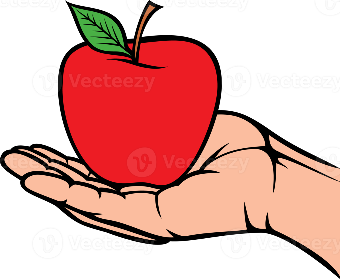 Apple in the hand png illustration