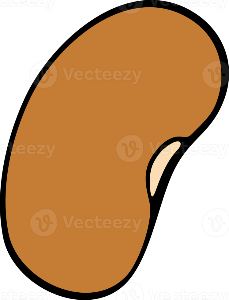 ilustração png de vegetais de feijão