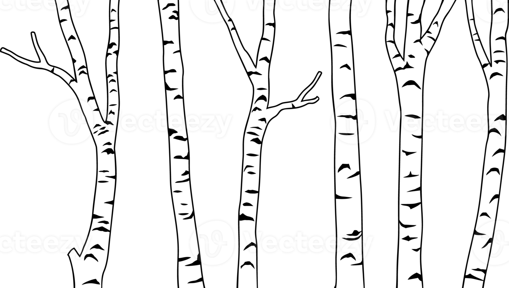 Birch tree black and white png illustration