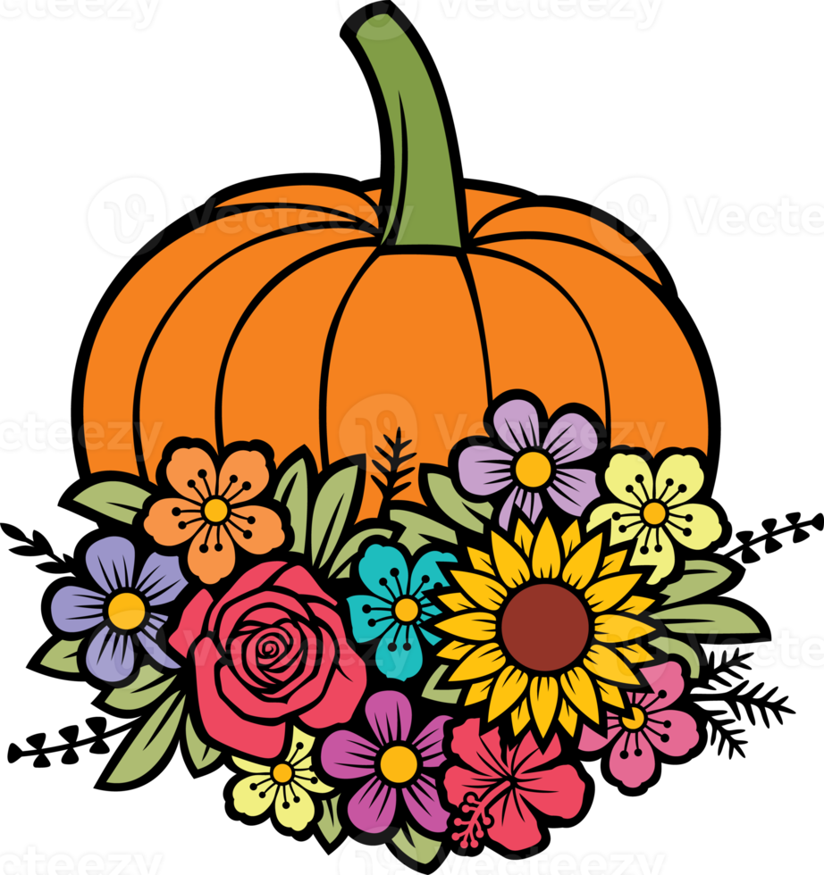 illustrazione png di colore della zucca floreale