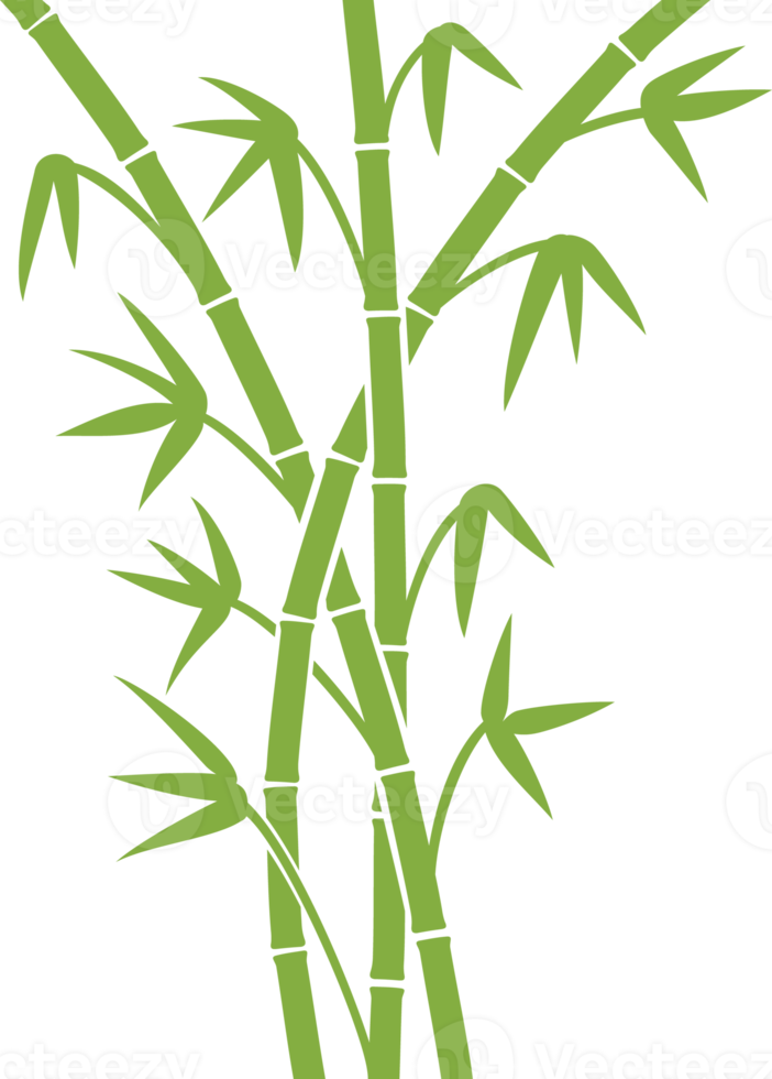 ilustración de png de tallos de bambú verde