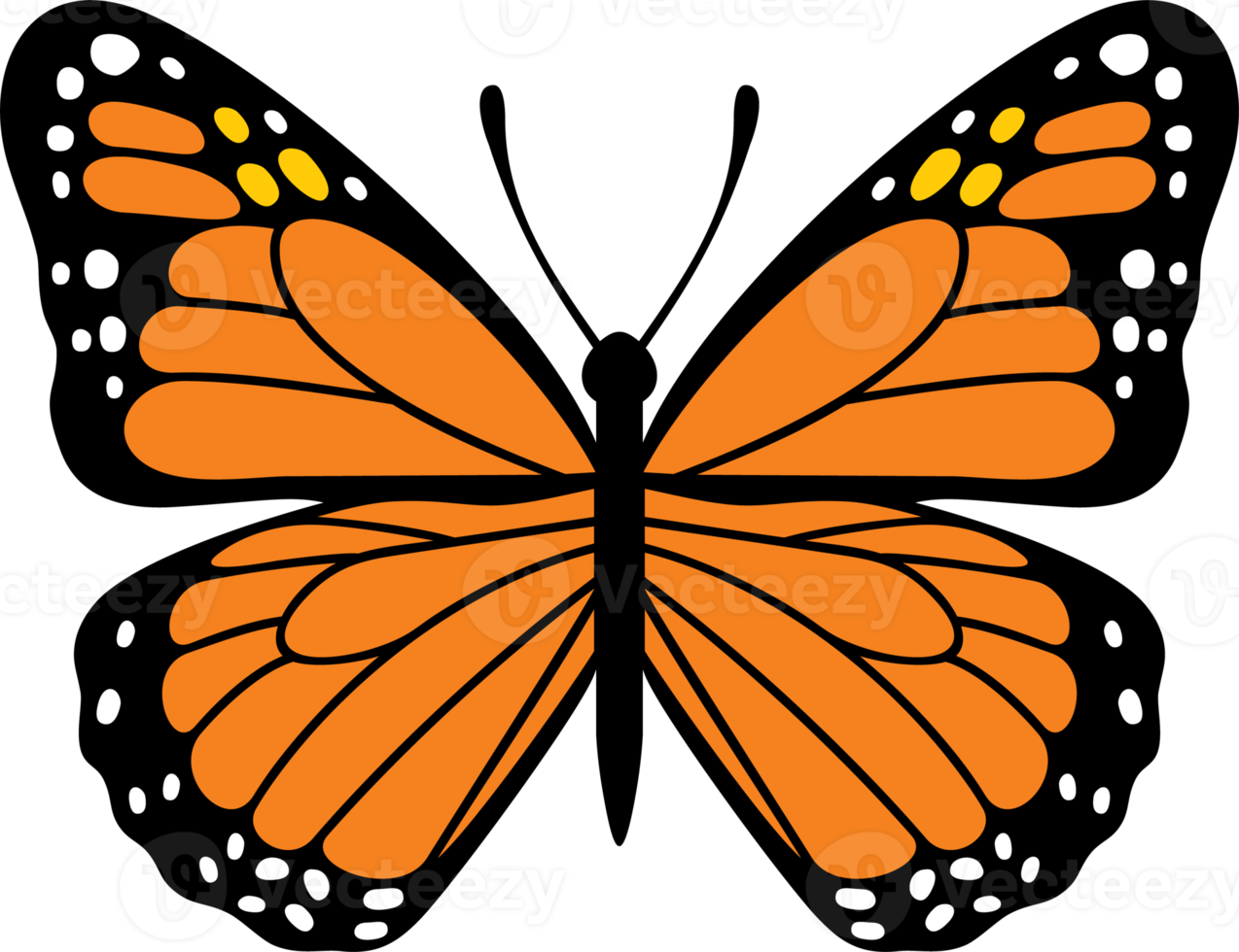 papillon insecte couleur png illustration