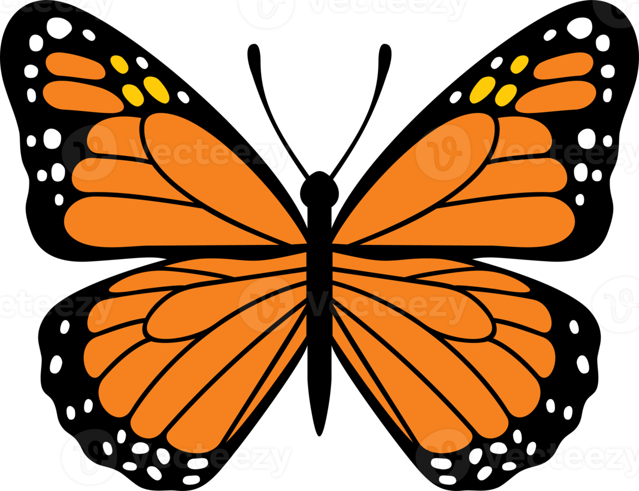 schmetterling insekt farbe png illustration