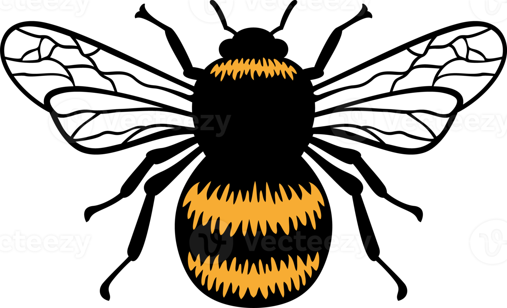 Bumblebee insect color png illustration