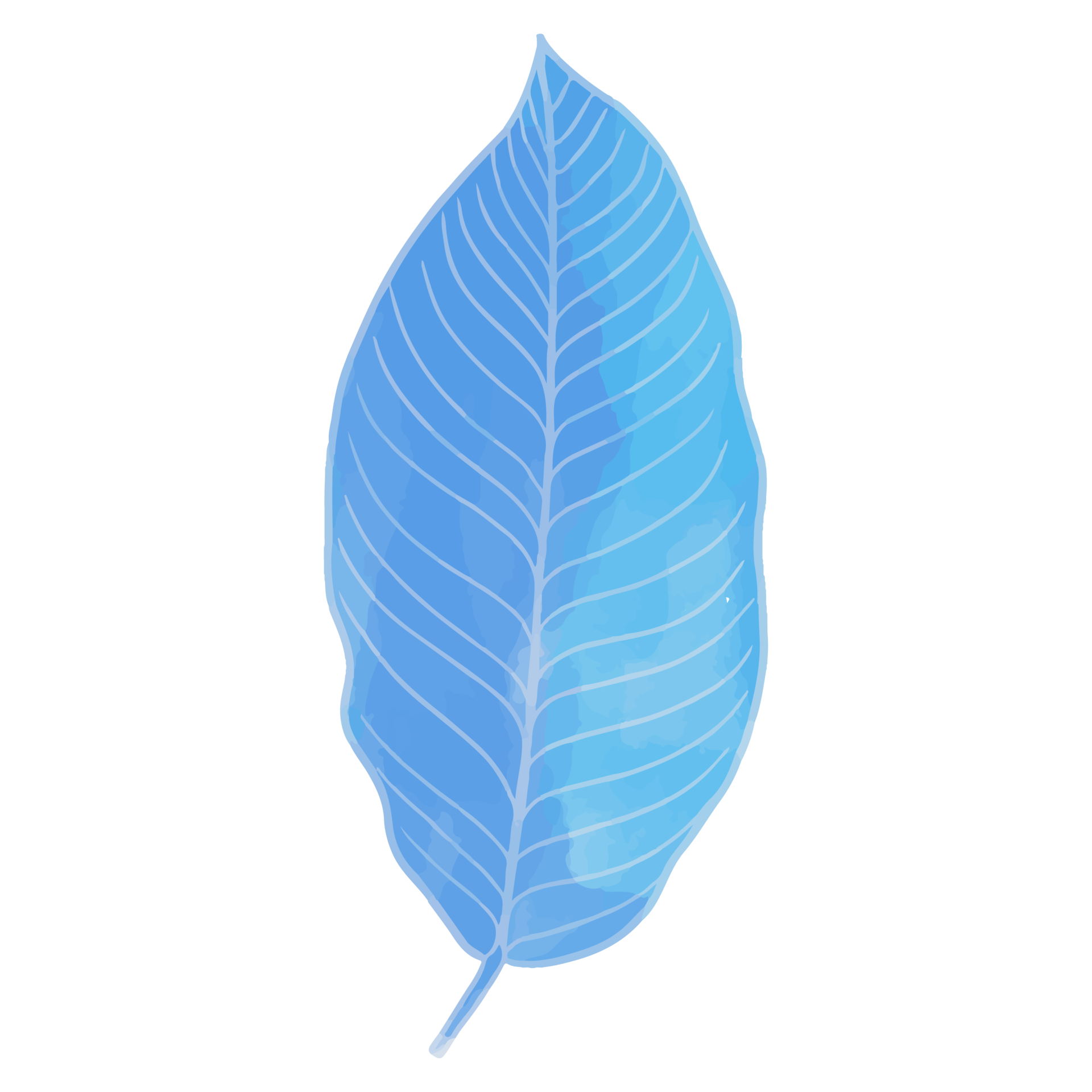 Watercolor Leaf, Blue leaves clipart 8514497 PNG