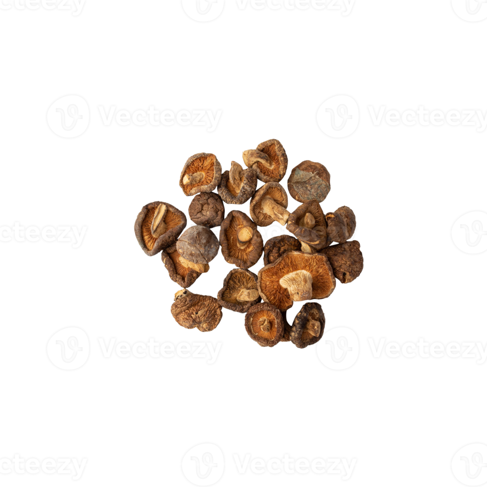 Shiitake mushroom cutout, Png file
