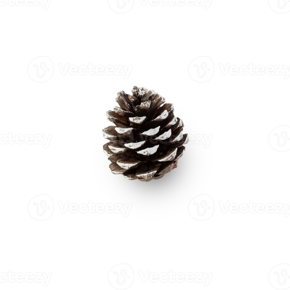 Snow pine cone cutout, Png file