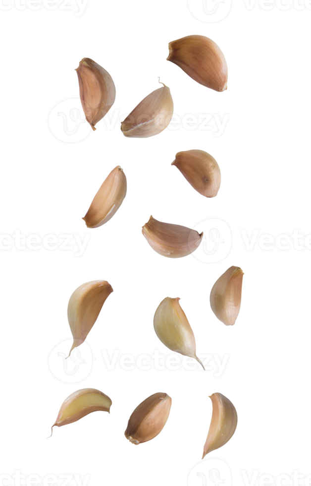 Falling garlics cutout, Png file
