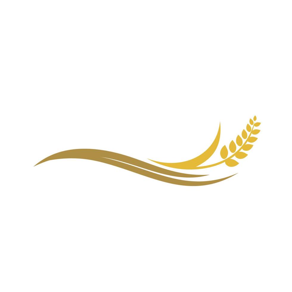 Wheat rice agriculture logo, Wheat grain, Wheat Nutrition, Wheat rice agriculture logo Inspiration vector