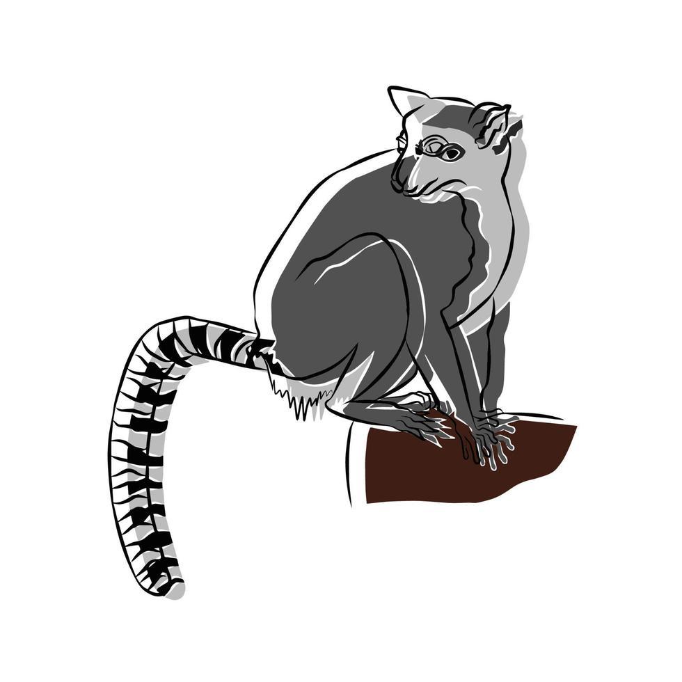 eautiful lemur catta vector