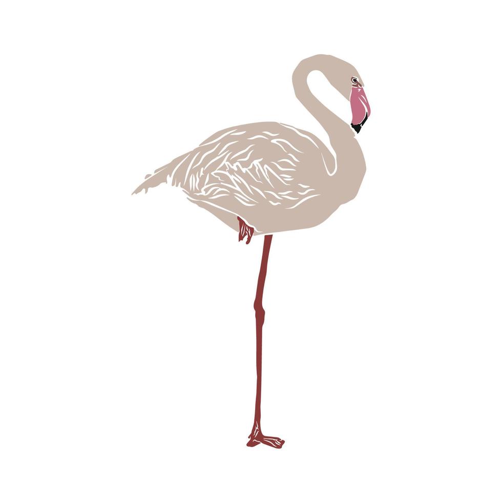 Beautiful flamingo, so cute vector