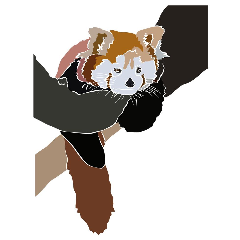 Beautiful red panda shots vector