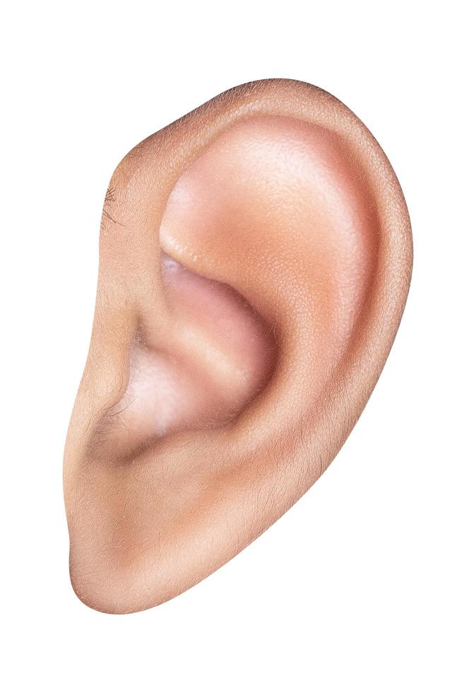 bright closeup picture of woman's ear photo