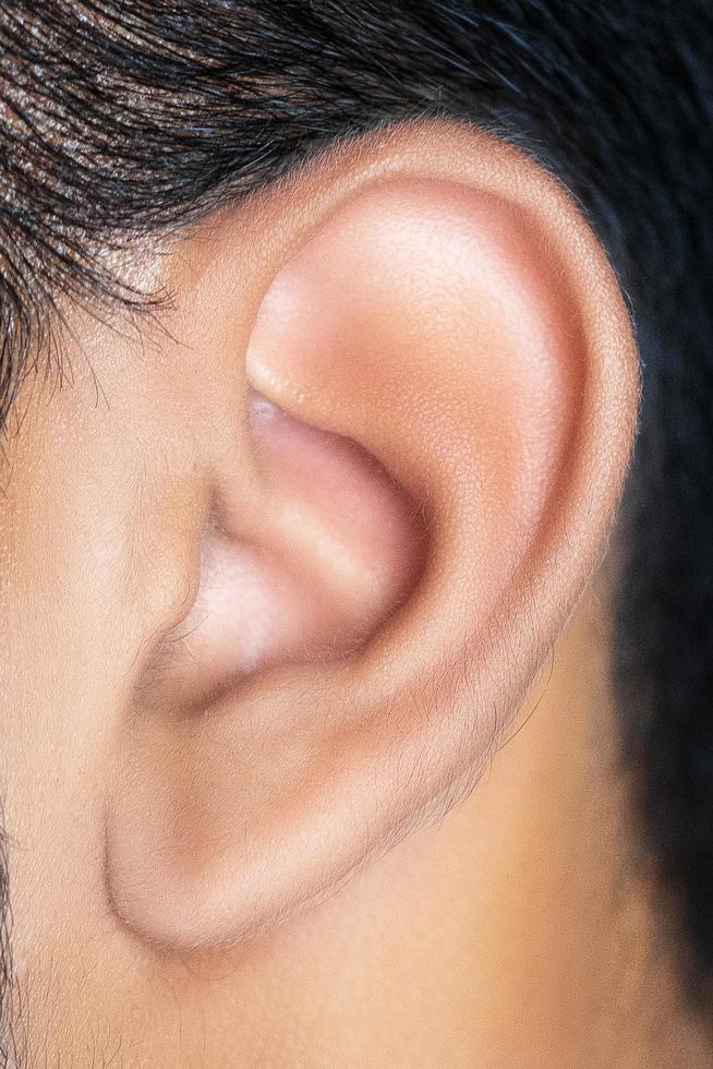 bright closeup picture of woman's ear photo