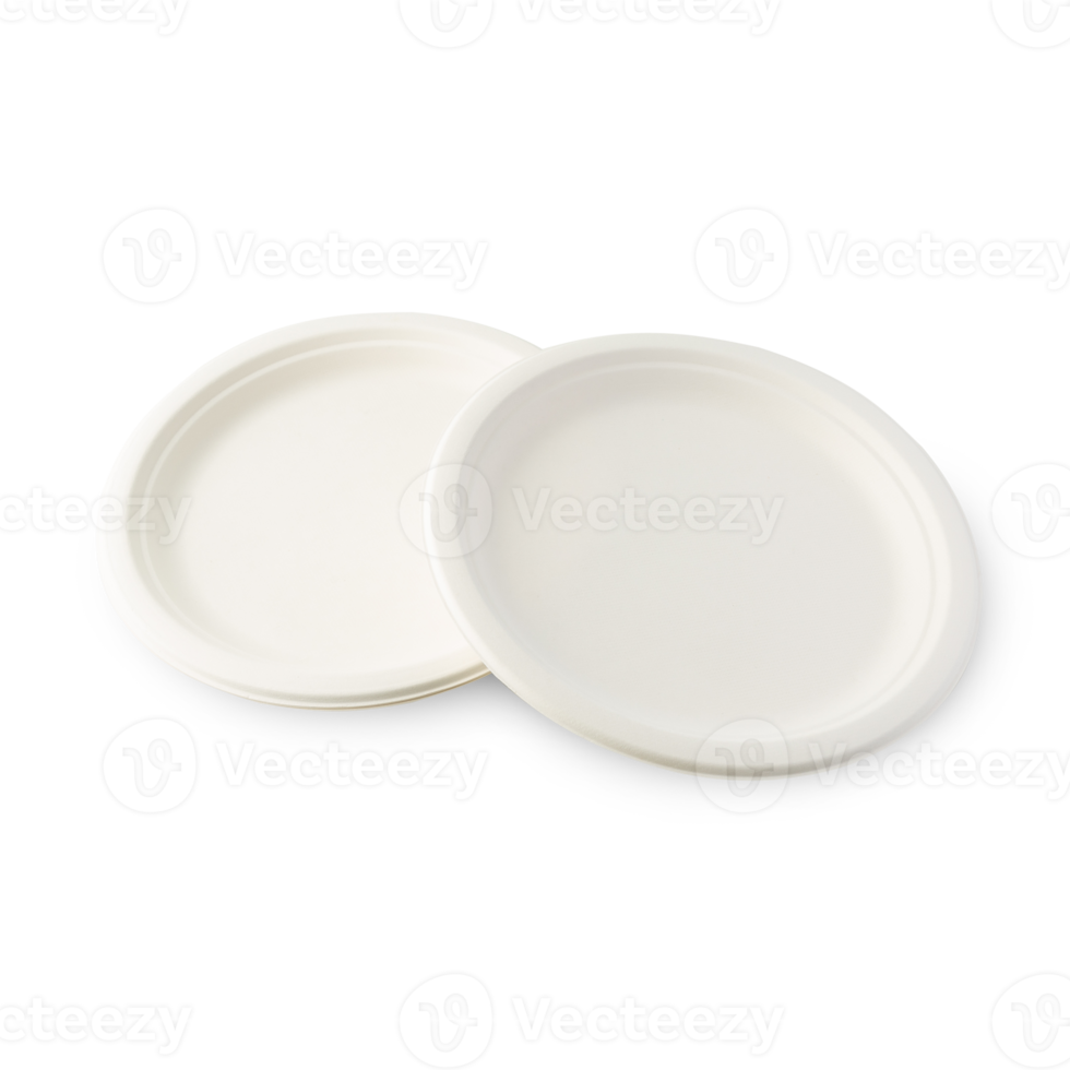 Biodegradable plate cutout, Png file