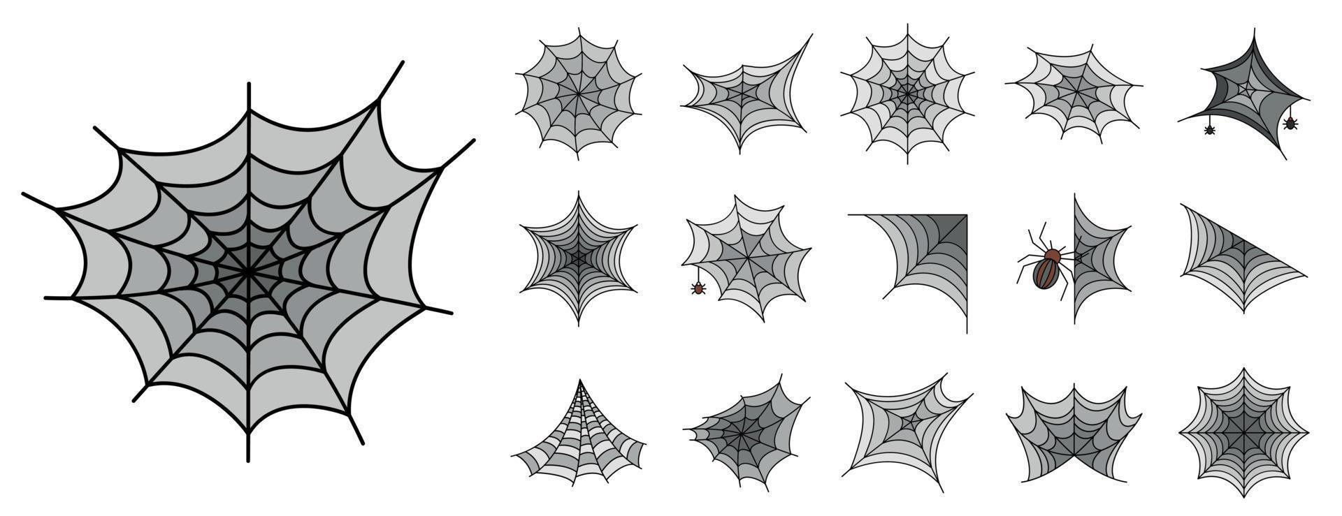 Spider icon set line color vector