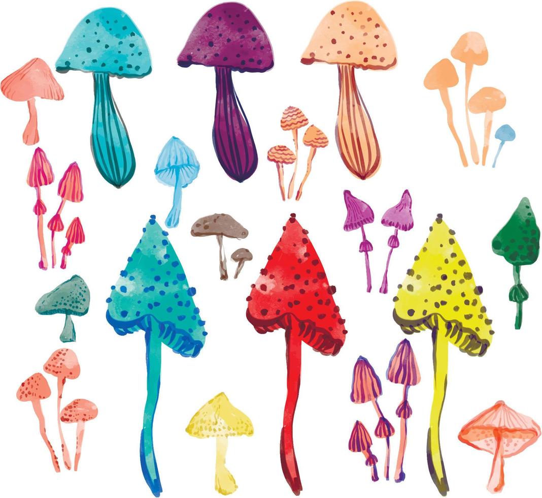 Watercolour mushrooms illustration. vector