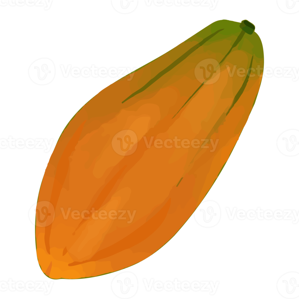akvarell papaya, handmålad frukt clipart png