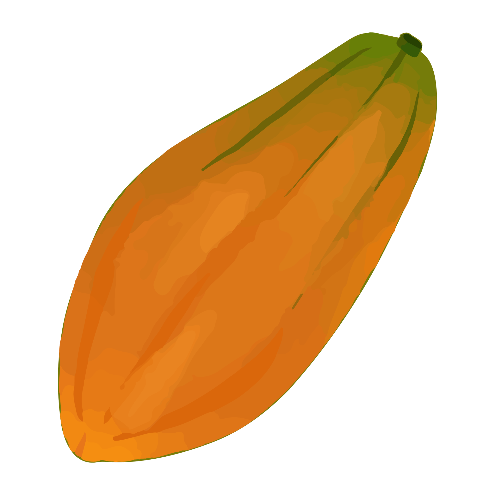 AquarellPapaya, handgemalte ObstCliparts 8519457 PNG
