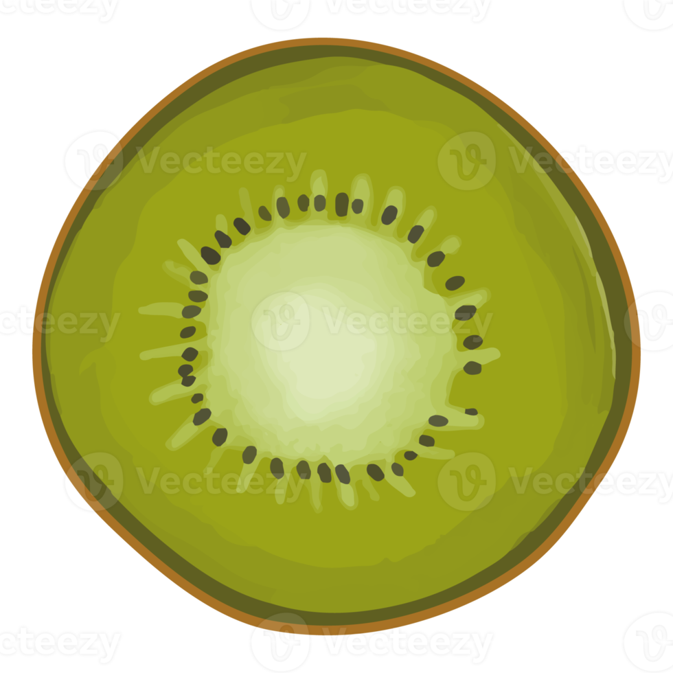 Watercolor Kiwi, Hand painted fruit clipart png