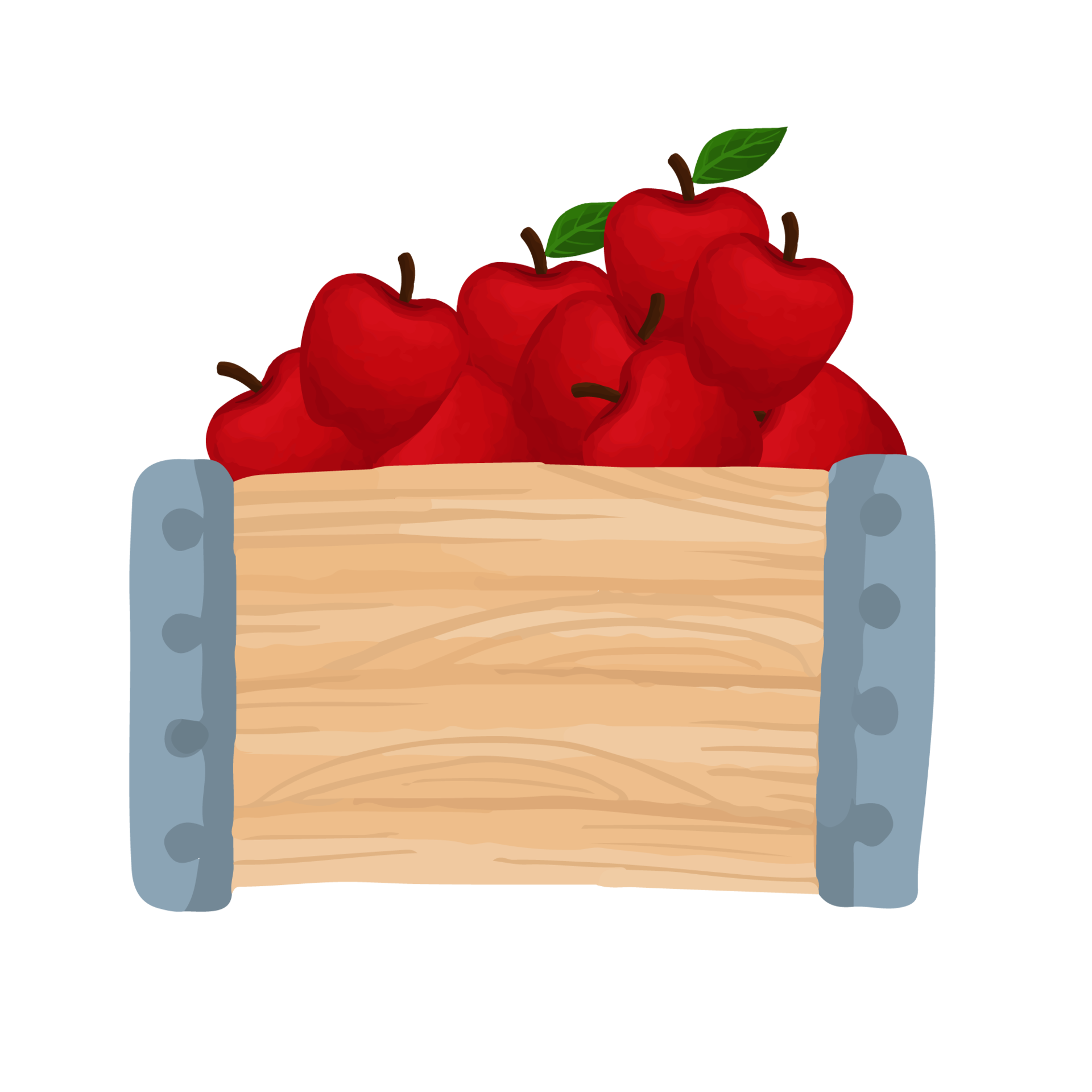 Watercolor Apple basket, Hand painted farm clipart 8519504 PNG