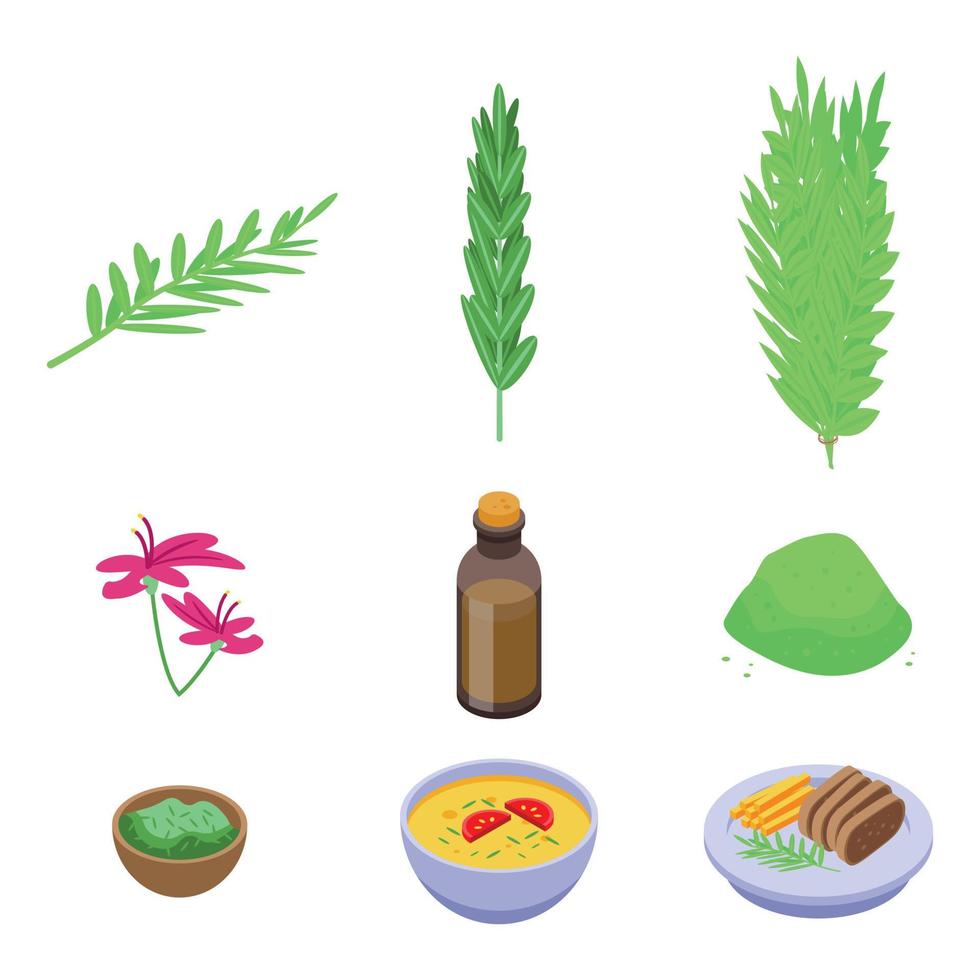 Rosemary icons set, isometric style vector
