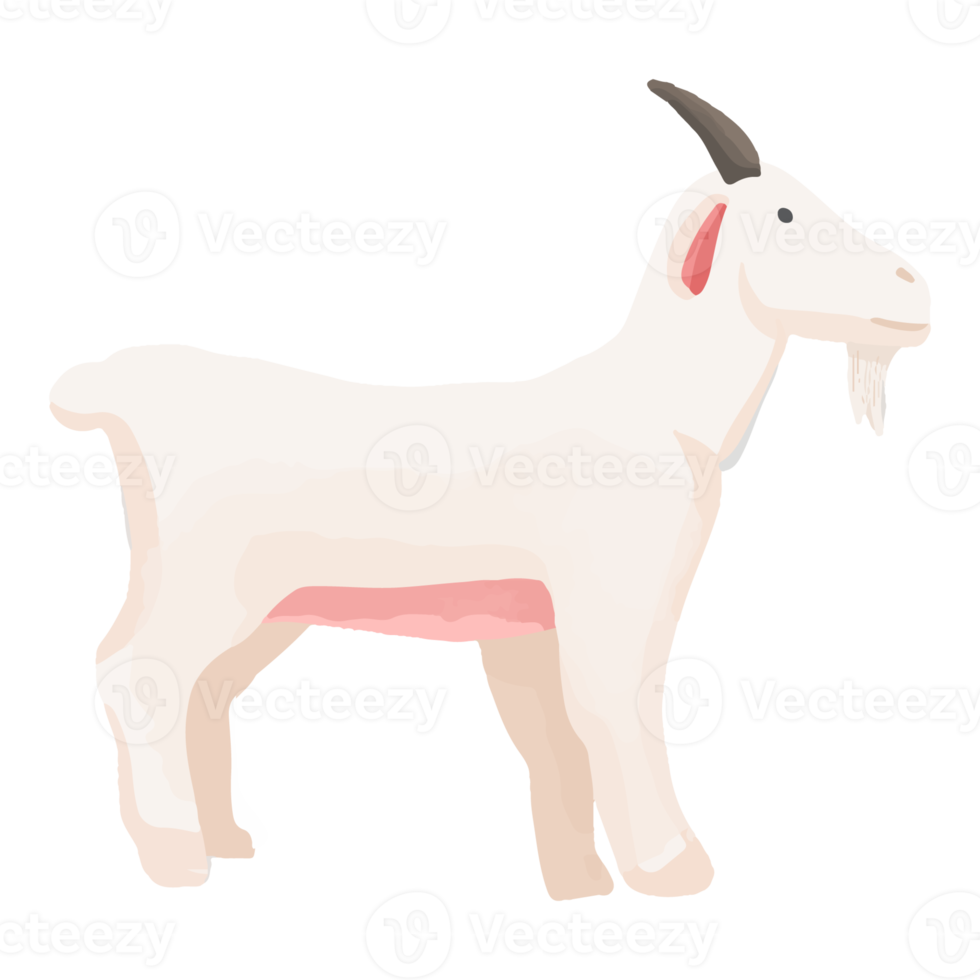 Watercolor Goat, Hand painted farm clipart png