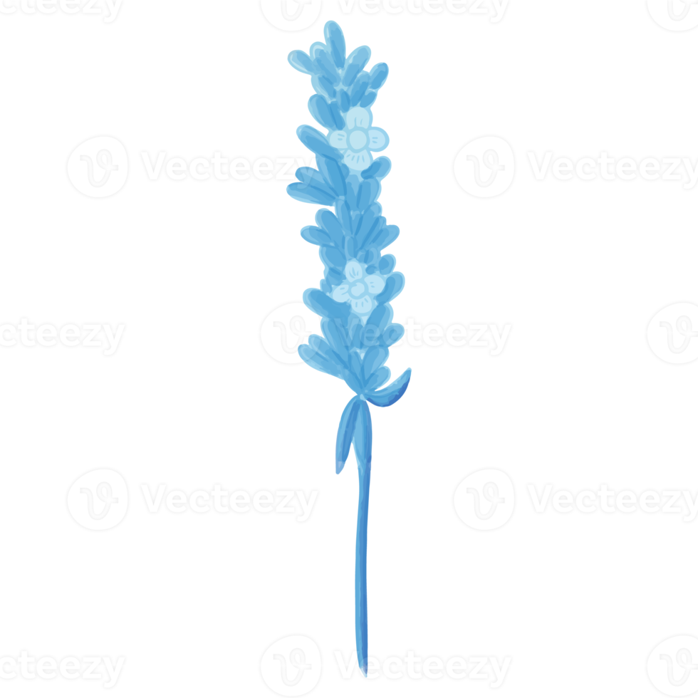 Watercolor flower, Blue flora clipart png