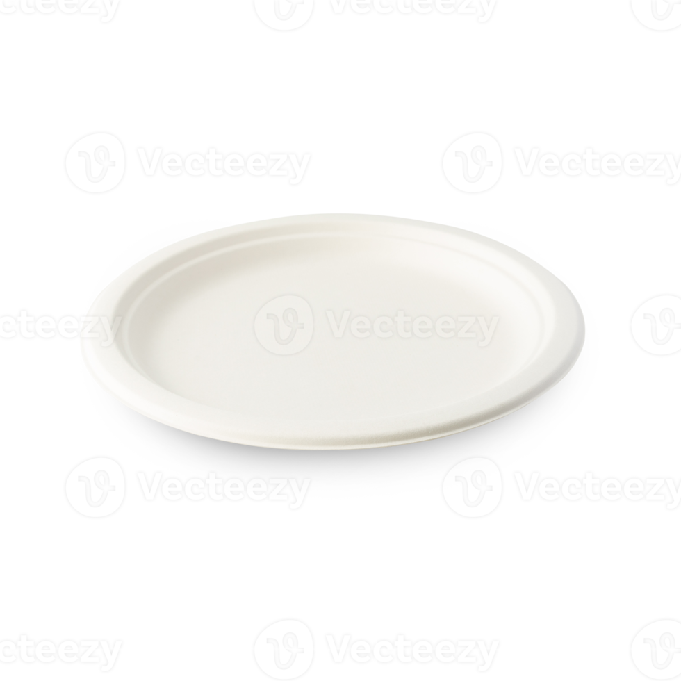 Biodegradable plate cutout, Png file